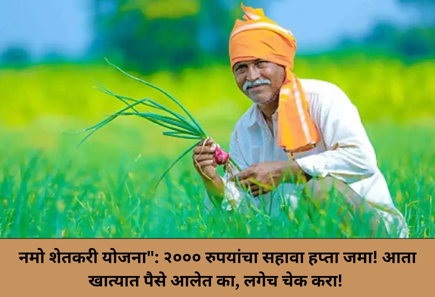 Namo Scheme Installment Credited!