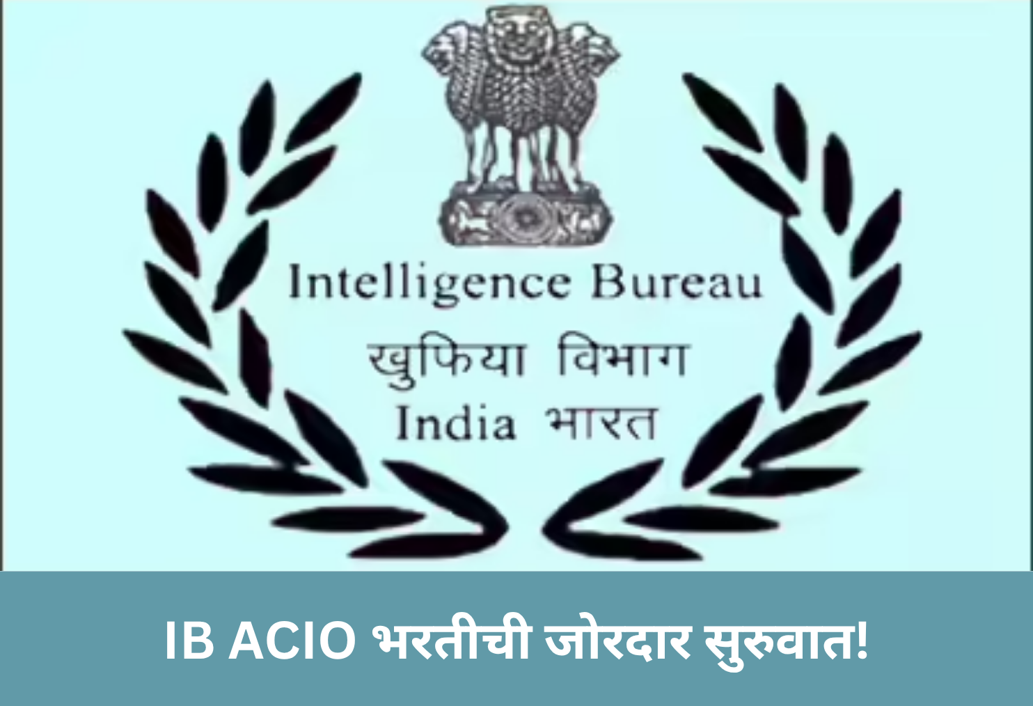 IB ACIO 2025: Big Hiring!