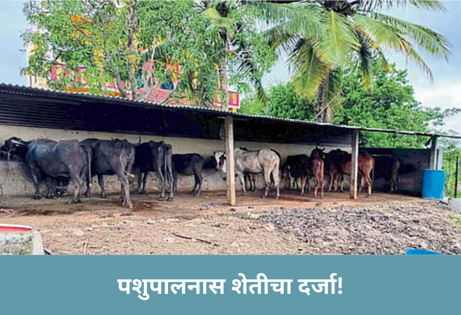 Animal Farming Gets Agri Status!