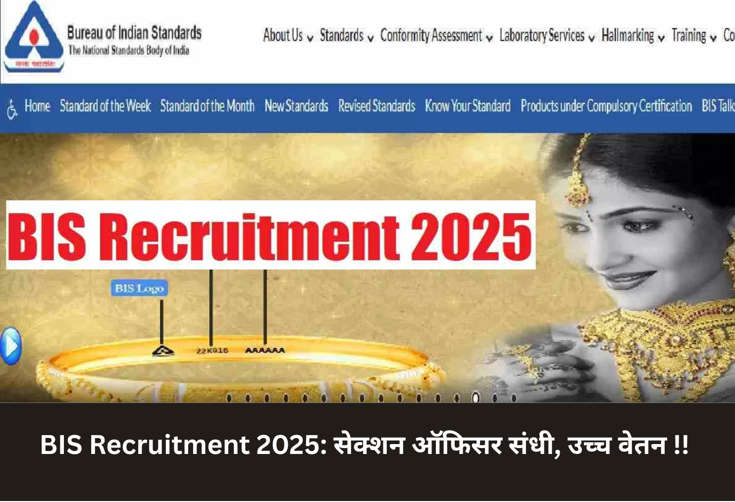 BIS Recruitment 2025: Section Officer Vacancy, High Pay!
