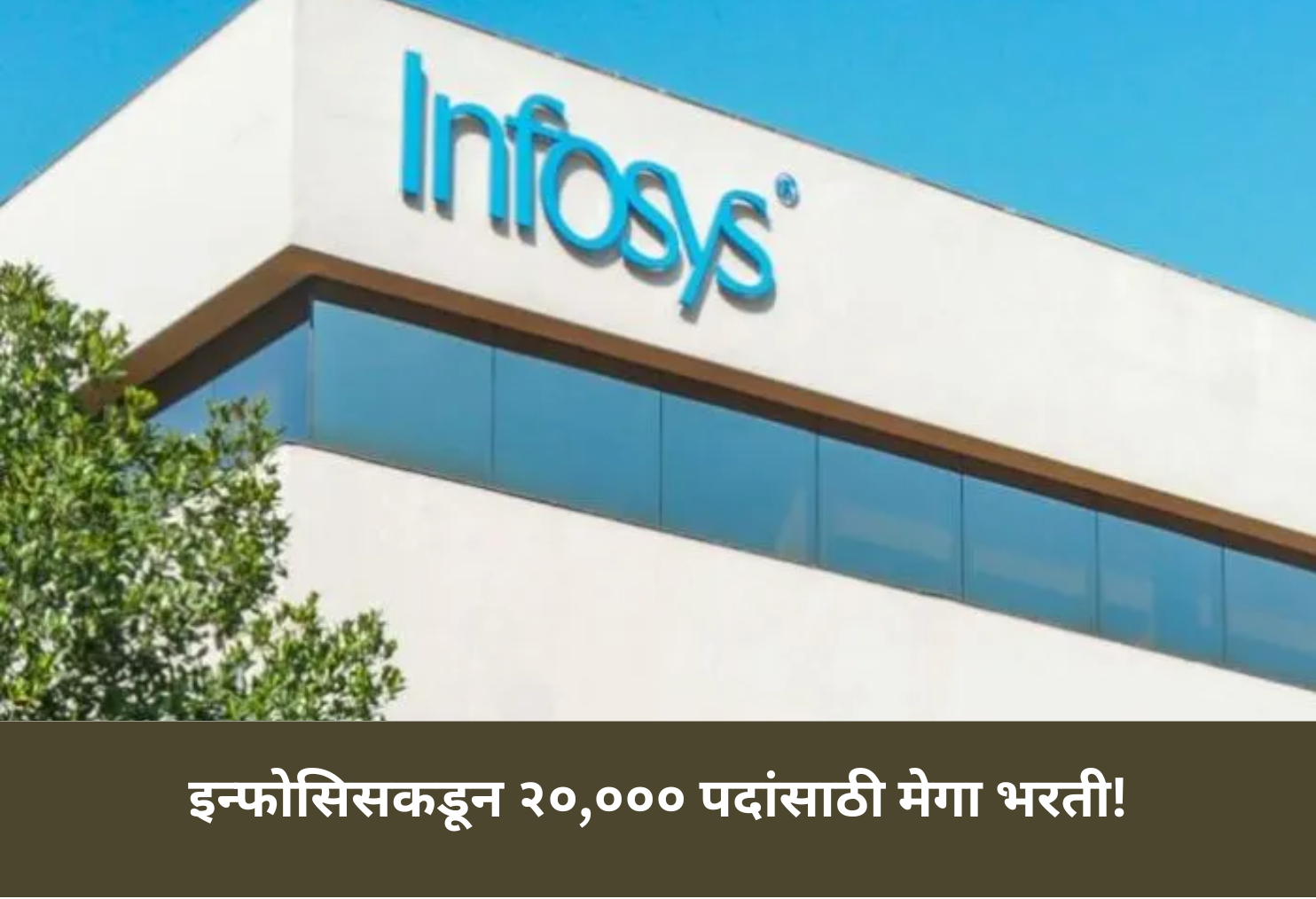 Infosys Mega Hiring for 20,000 Freshers!