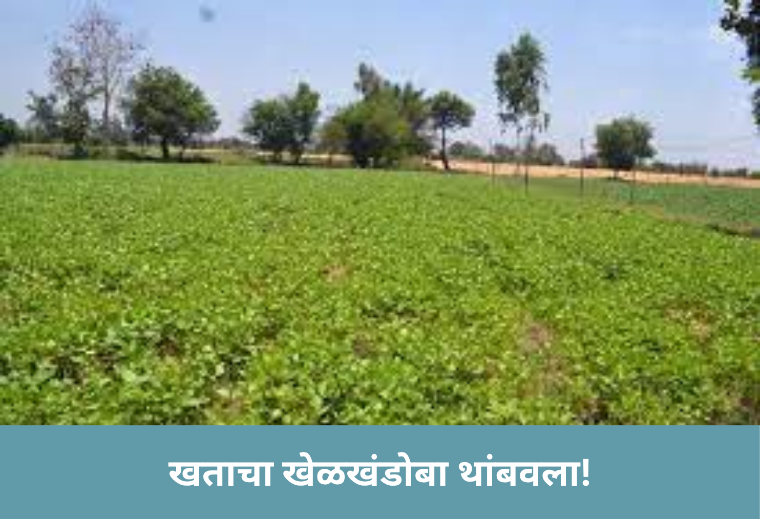 Fertilizer Fraud Busted!