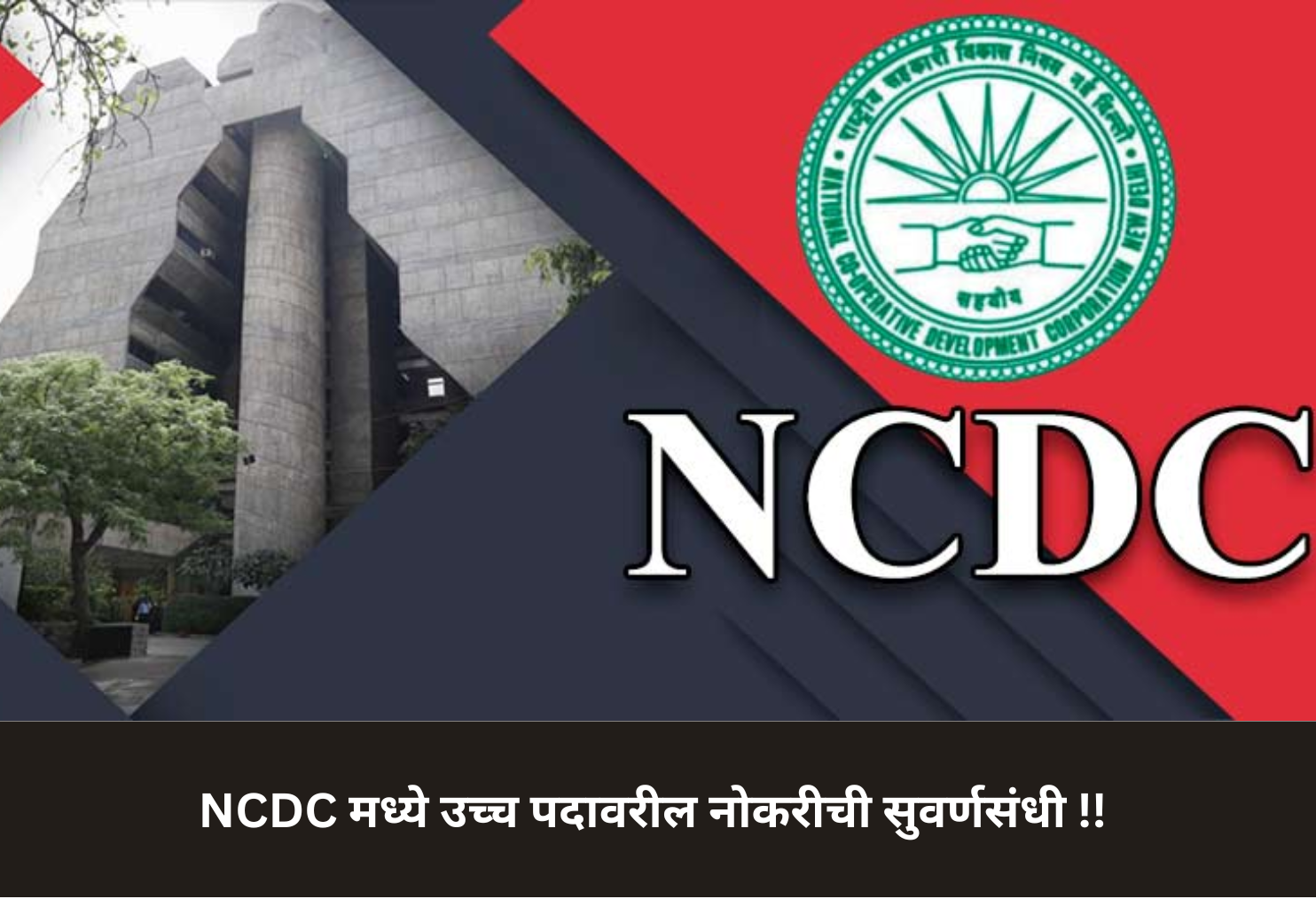 NCDC Top Post Job Opportunity!