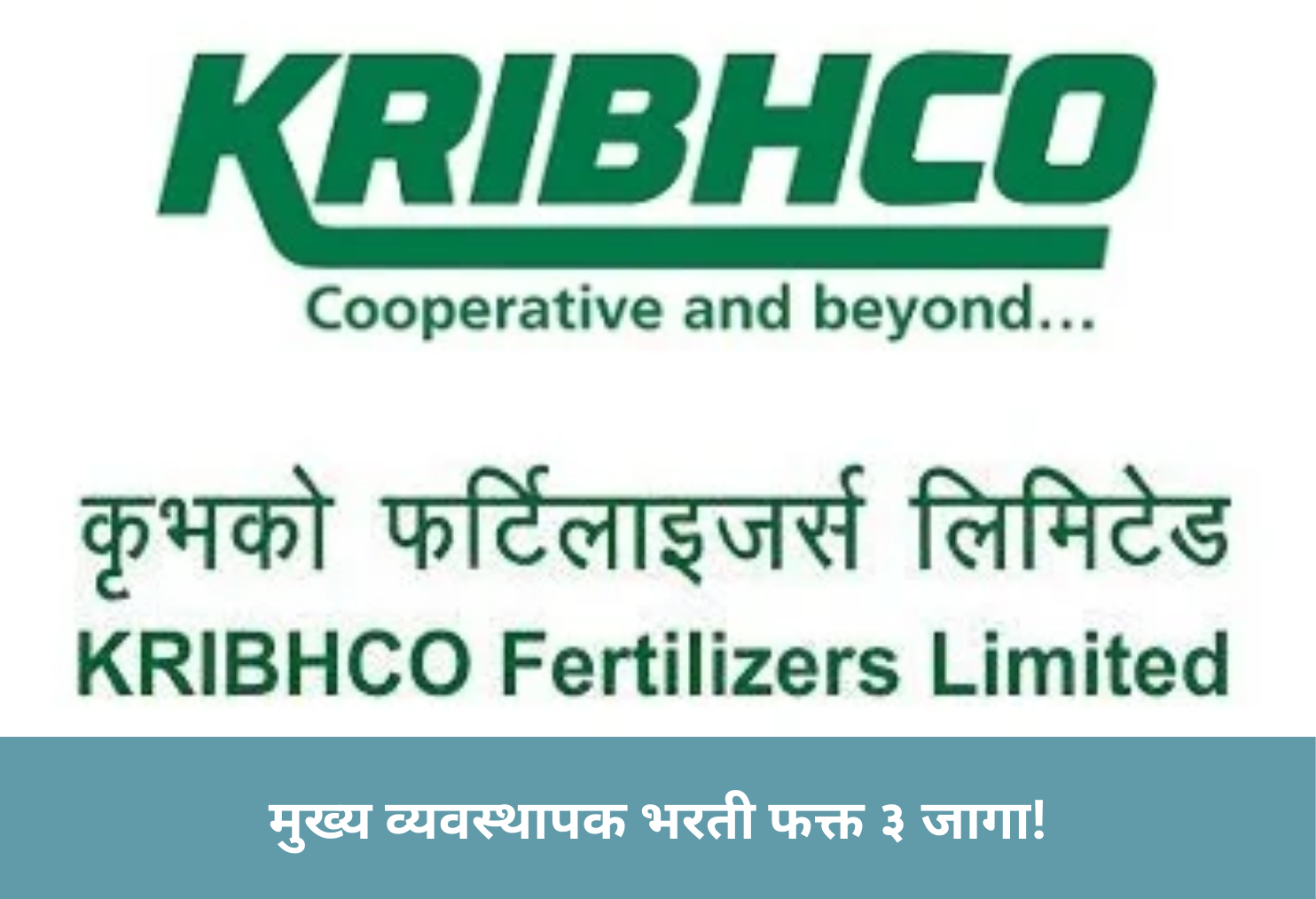 Top Manager Jobs 3 Vacancies!