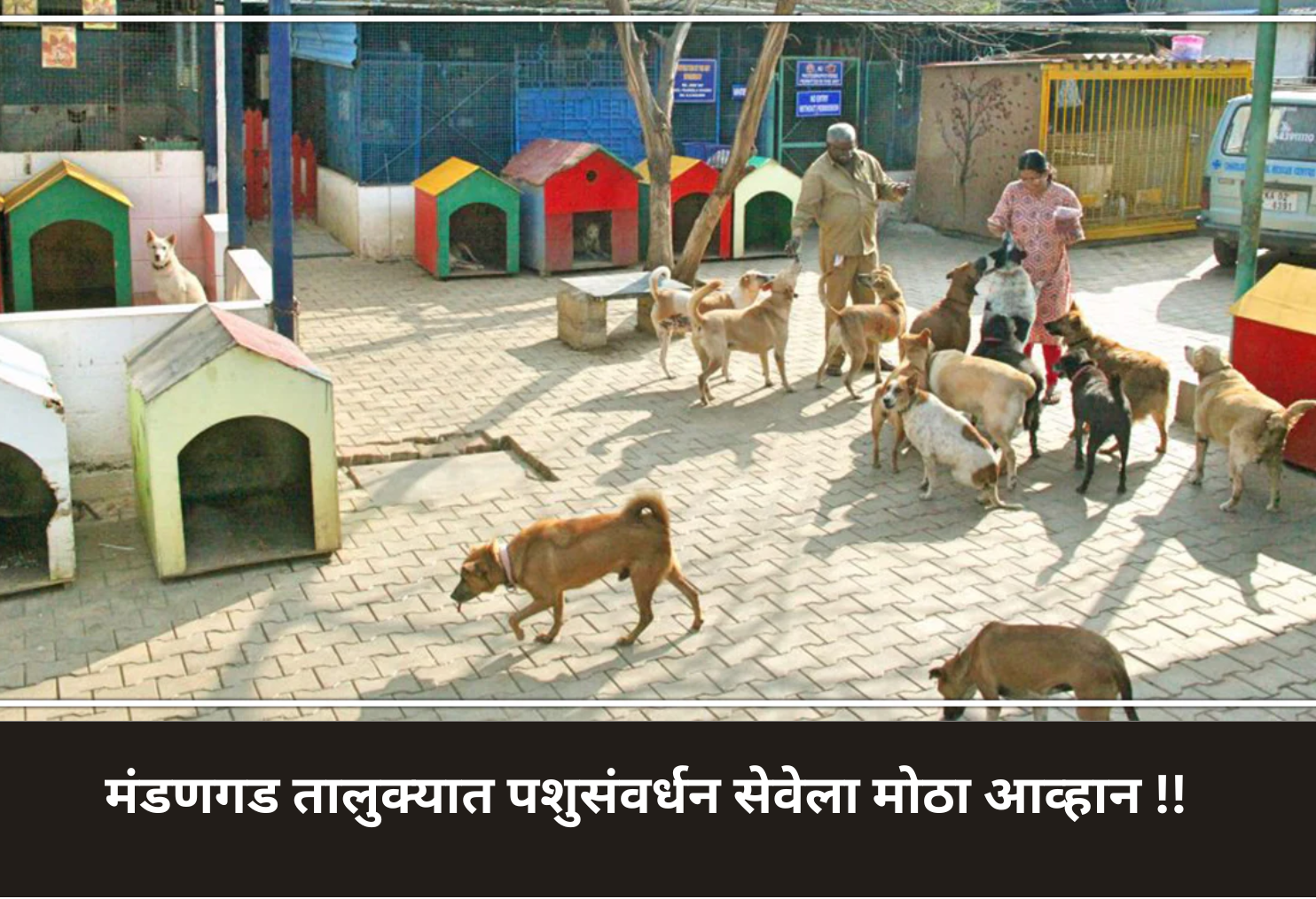 Mandangad Faces Major Animal Care Crisis!