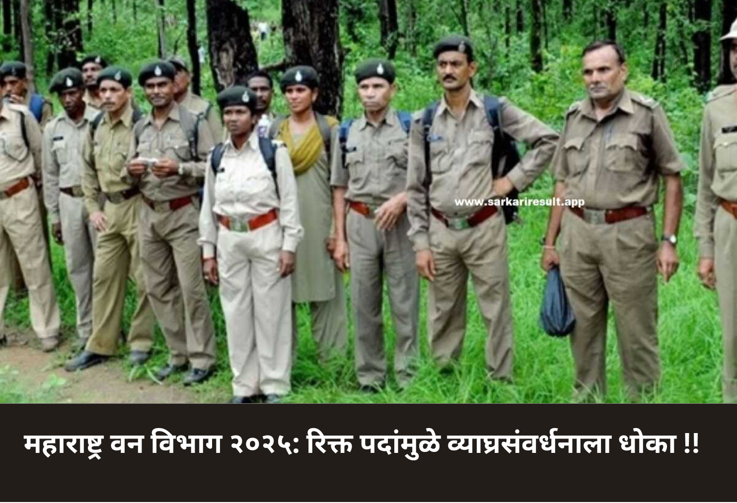 Maharashtra Forest Dept Faces Staff Shortage!