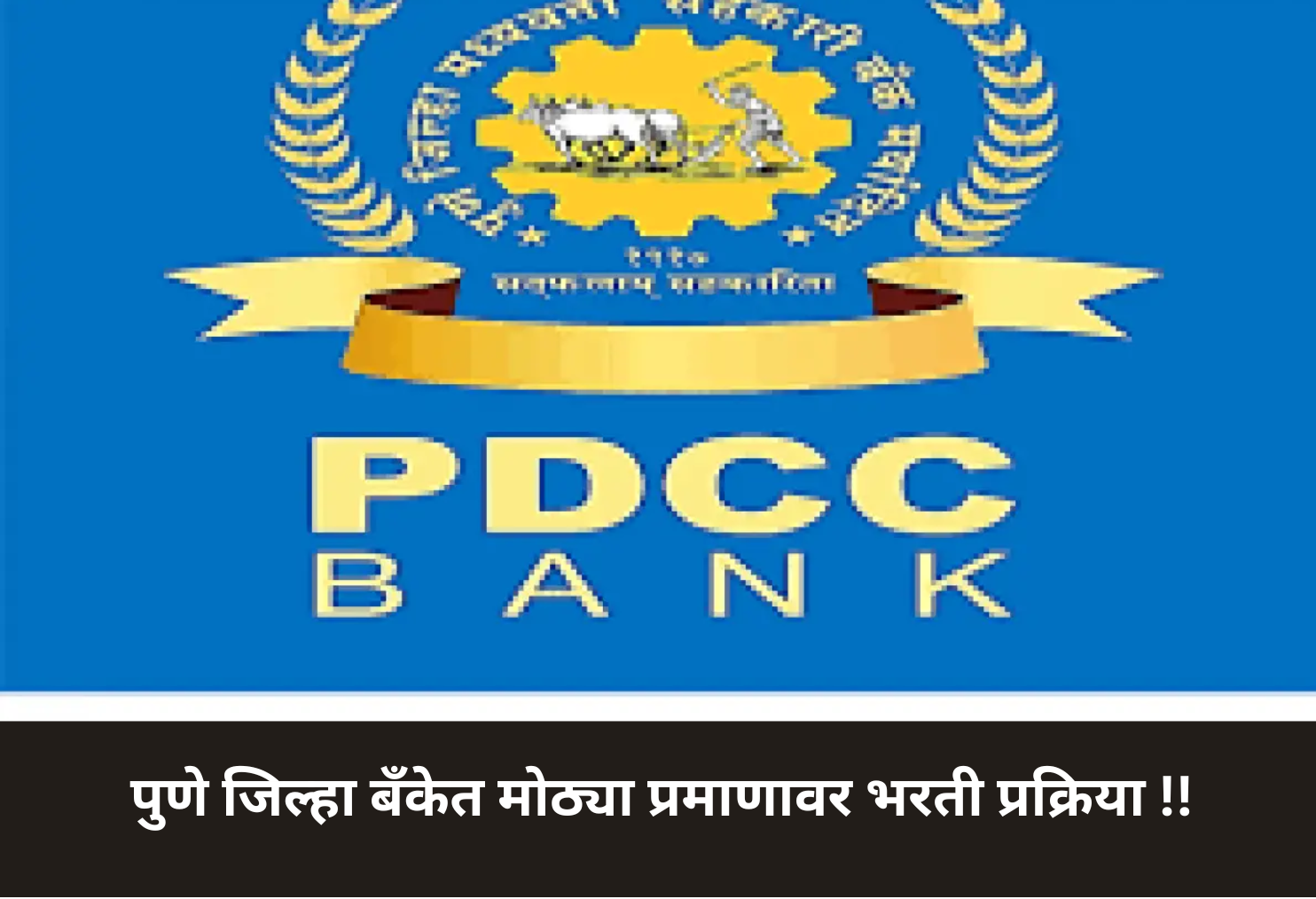 Mega Recruitment Drive in Pune DCC Bank!