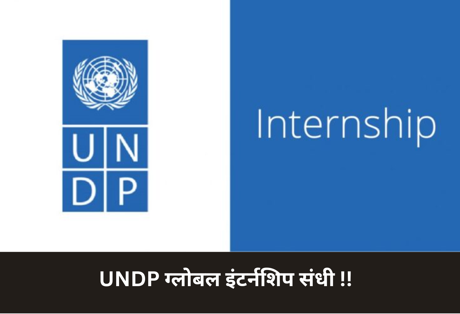UNDP Global Remote Internship Alert!