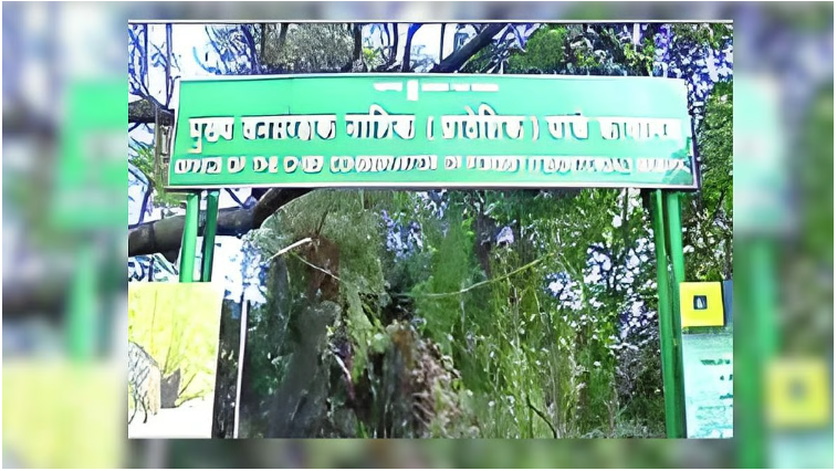 Forest Dept Faces Staff Shortage!