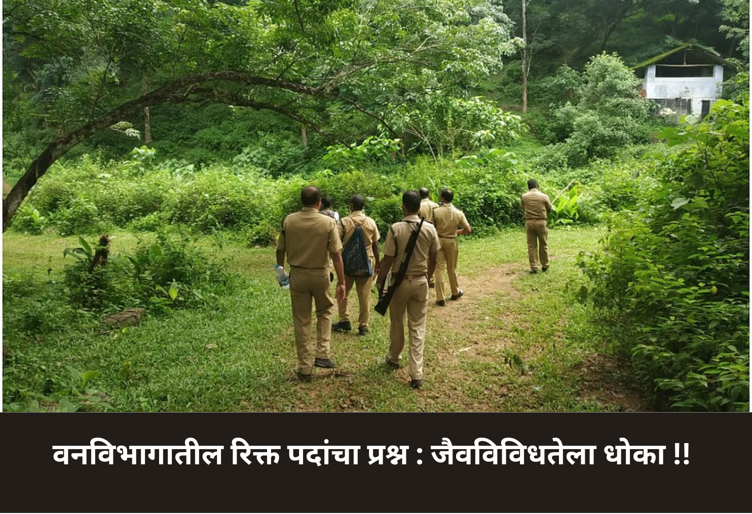 Forest Dept Vacancies Crisis!