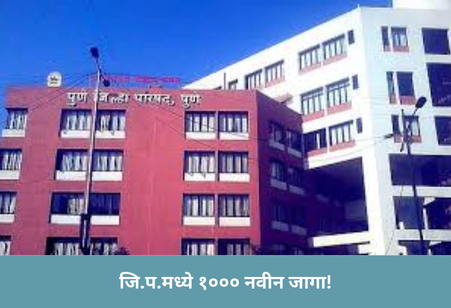  ZP to Create 1000 New Posts! 