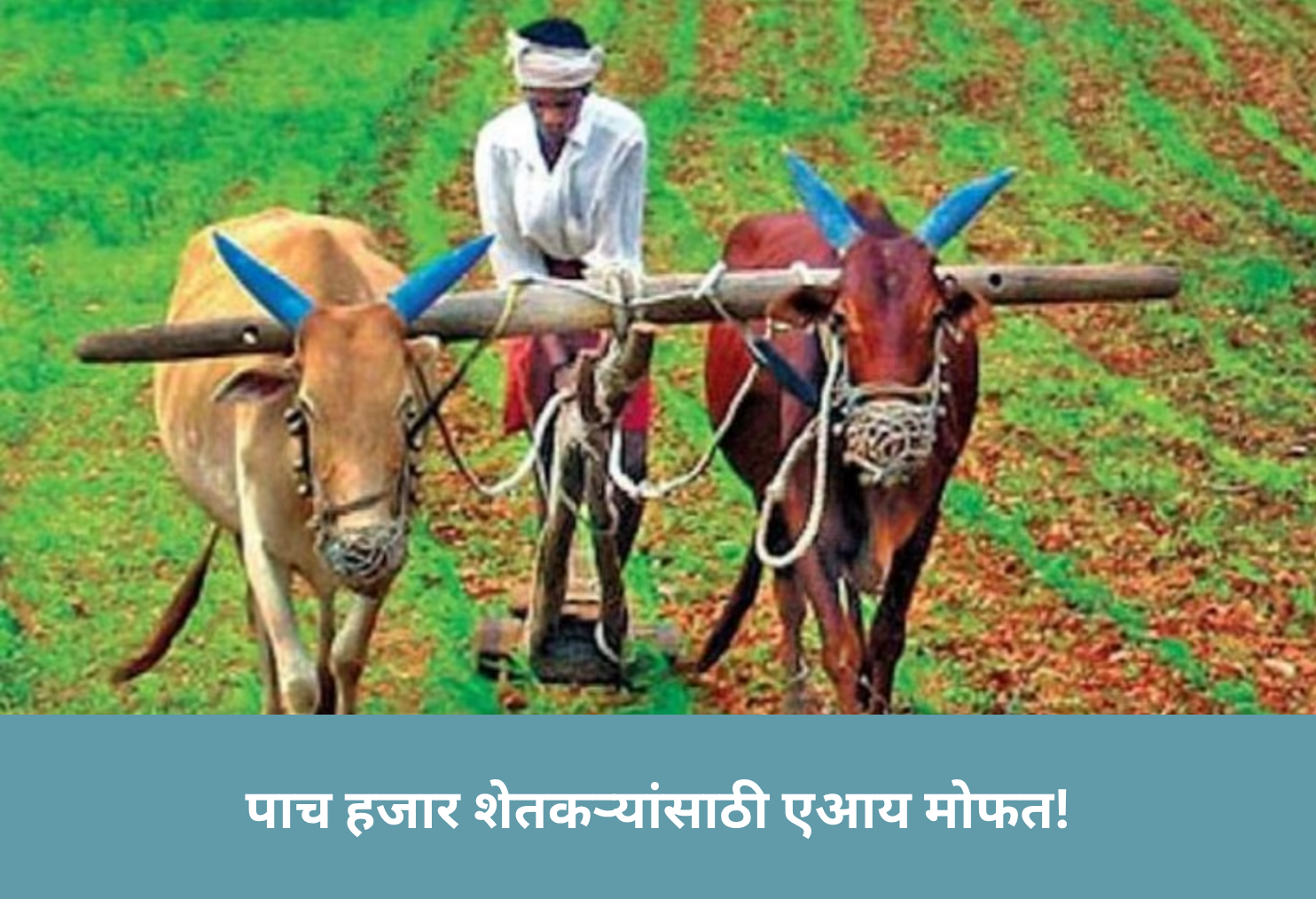 AI Free for 5,000 Farmers!