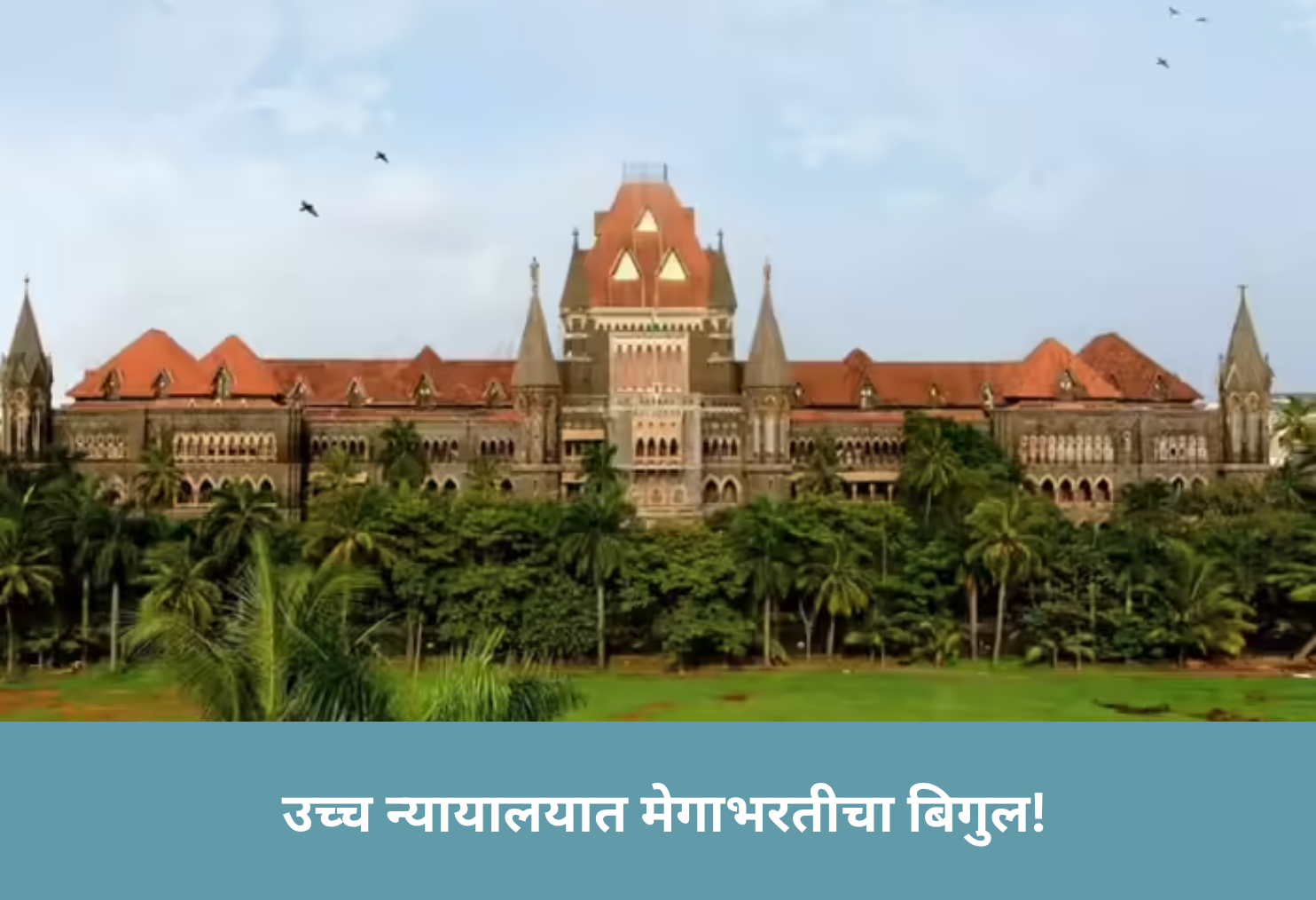 Bombay HC Mega Recruitment!