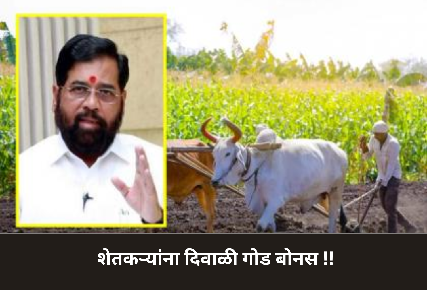 Sweet Diwali Bonus for Farmers!