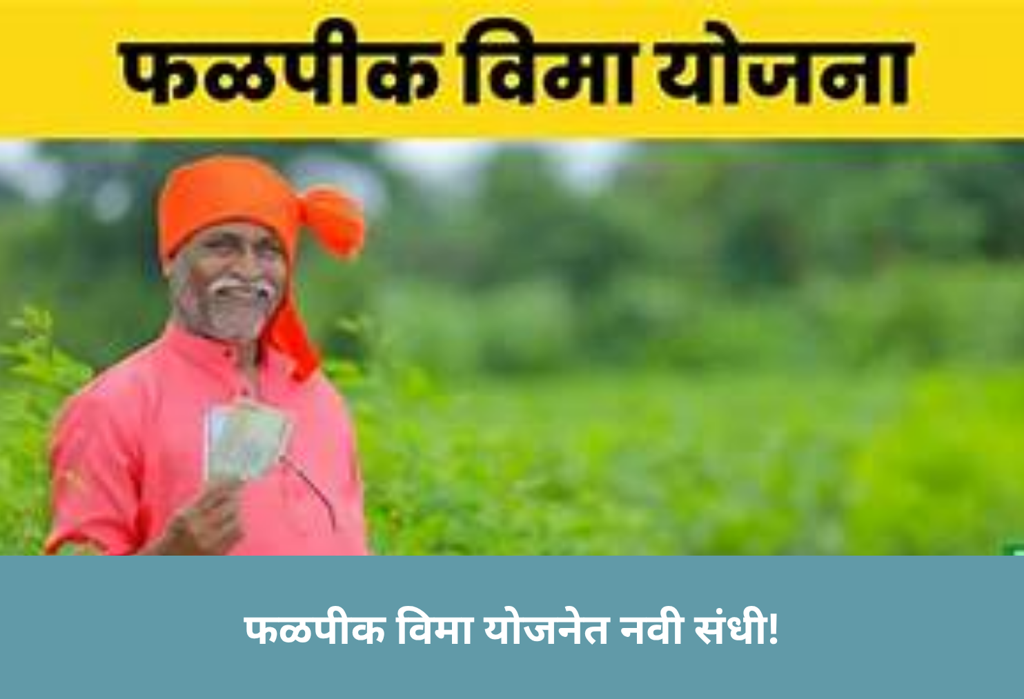 Fruit Crop Insurance Opens Now!
