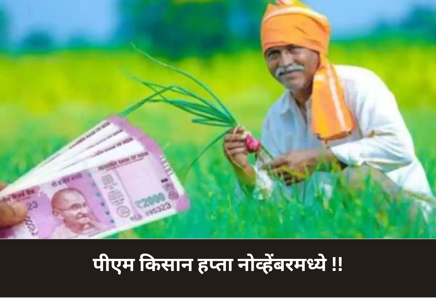 PM Kisan Installment in November!