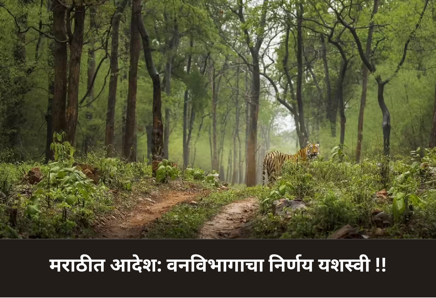 Order in Marathi: Forest Dept. Success!