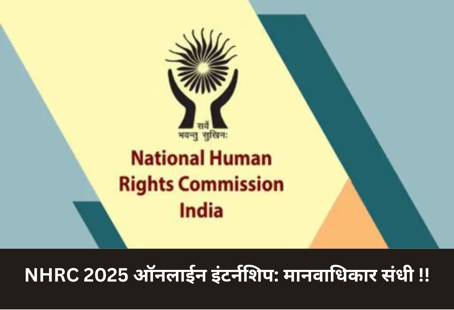 NHRC 2025 Online Internship: Human Rights Opportunity!