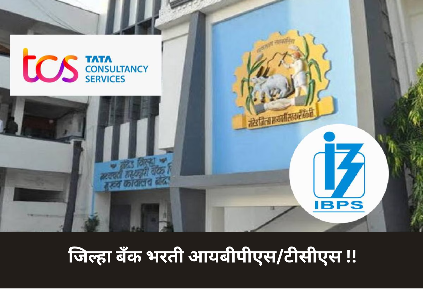 District Bank Recruitment via IBPS/TCS!