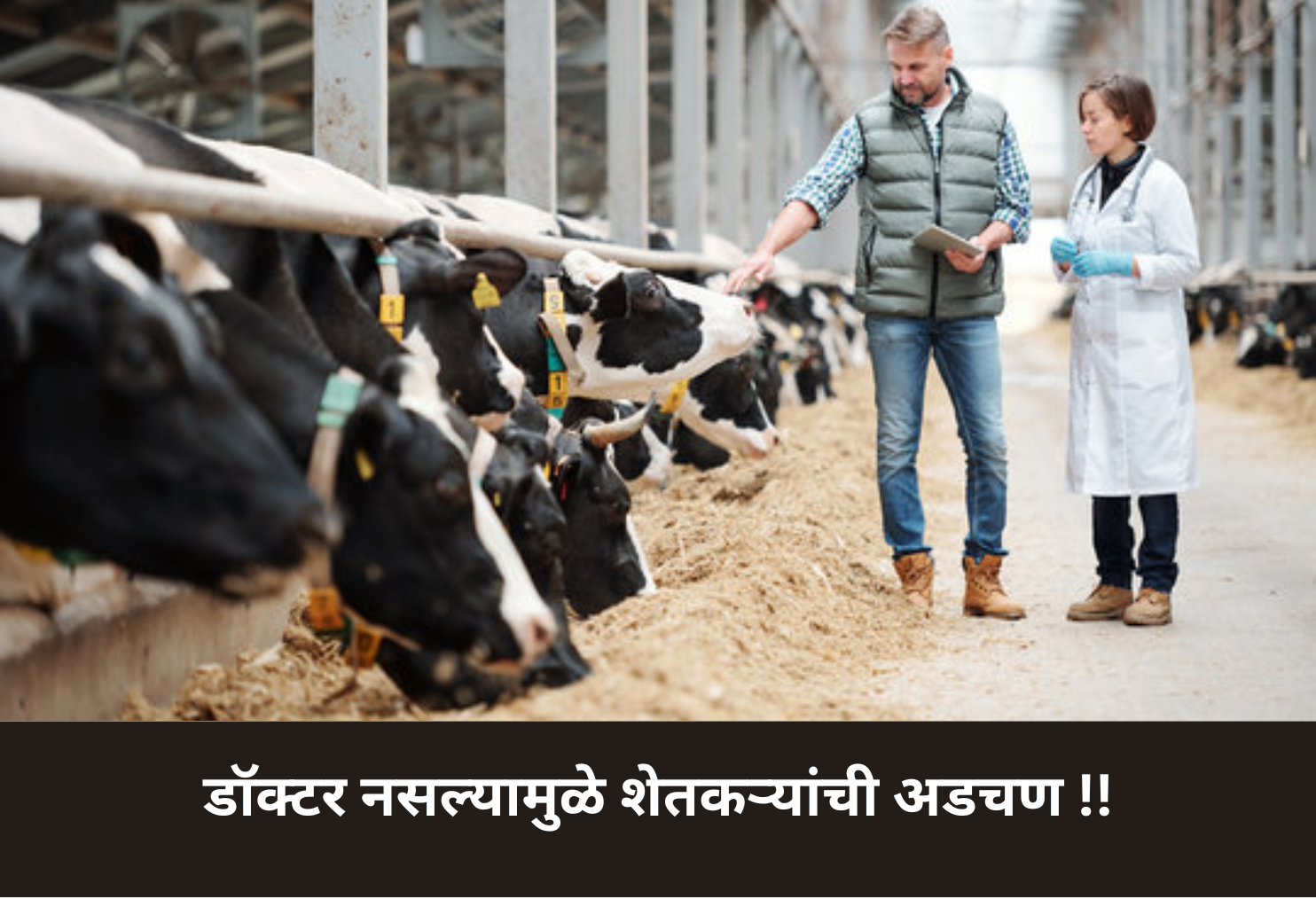 Farmers in Trouble Due to No Veterinary Doctors!