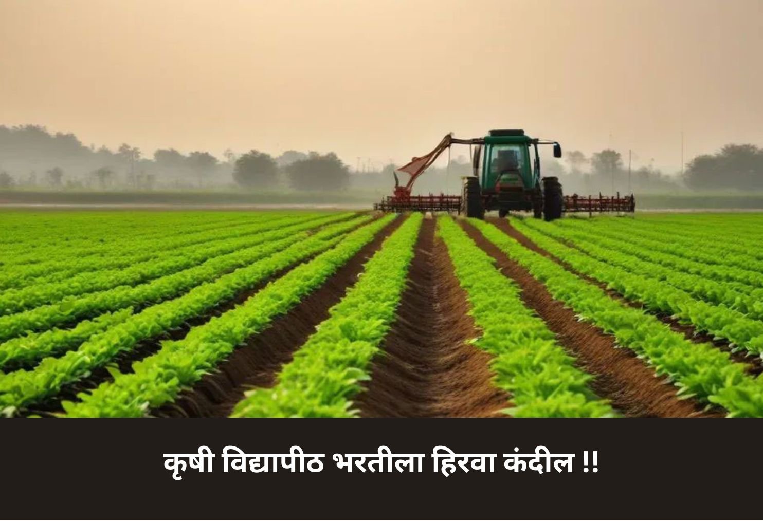 Agri Universities Recruitment Near Approval!