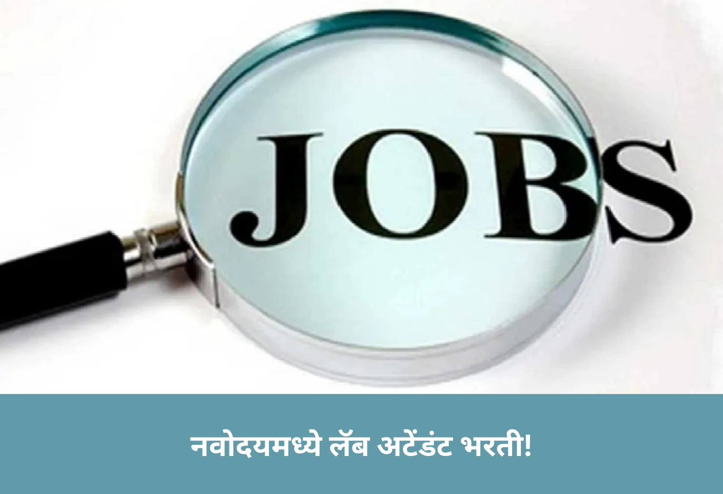 NVS Lab Attendant Jobs!