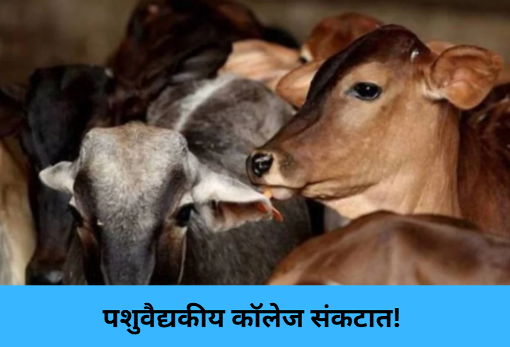 Vet Colleges in Crisis!