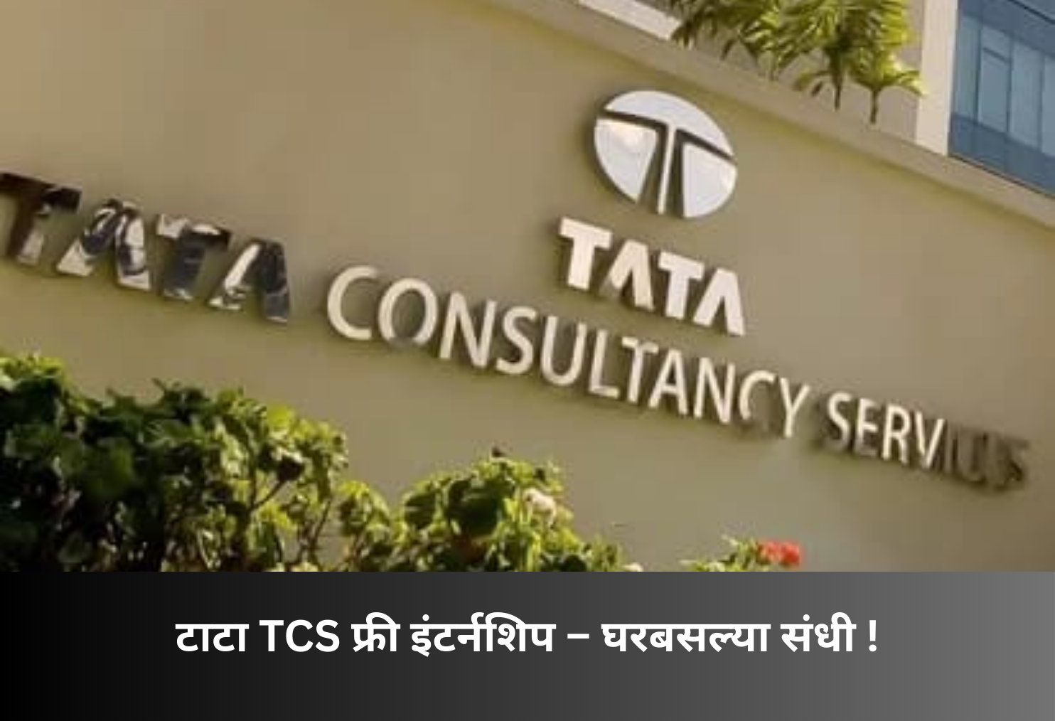 Tata TCS Free Internship – Work From Home!