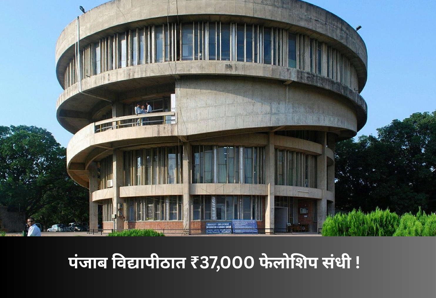 ₹37,000 Fellowship at Punjab University!