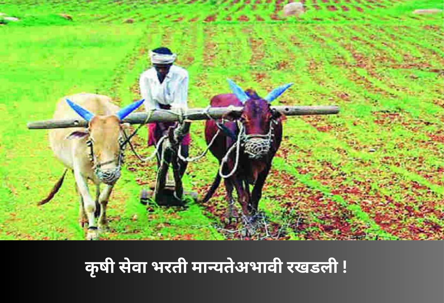 Agriculture Recruitment Stalled Over Approval Delay!