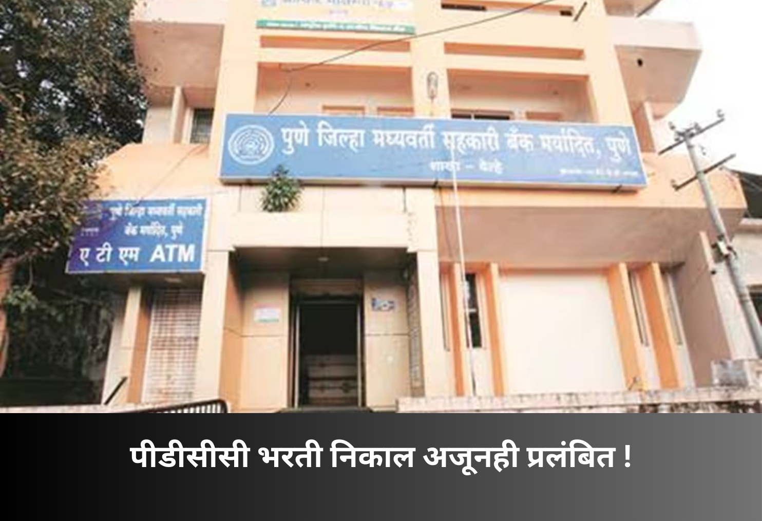 PDCC Recruitment Result Still Pending!