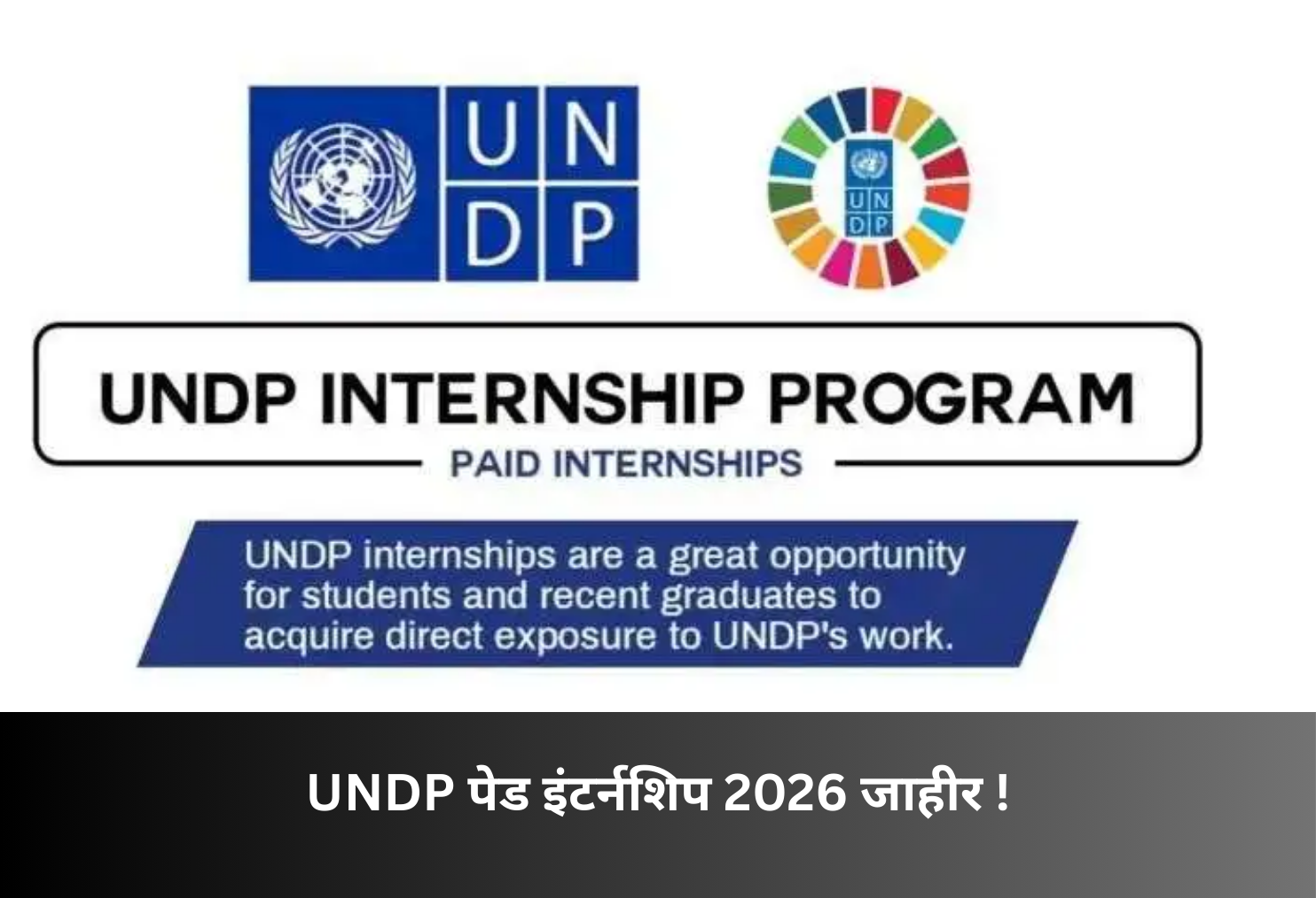 UNDP Paid Internship 2026!