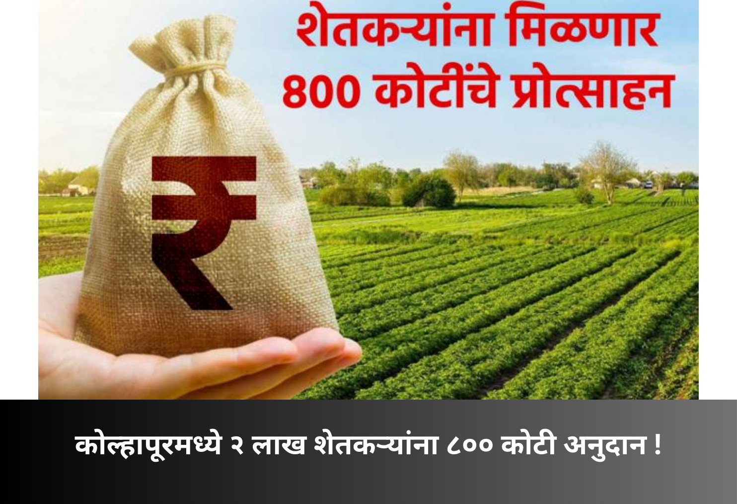 ₹800 Crore Incentive for 2 Lakh Farmers!