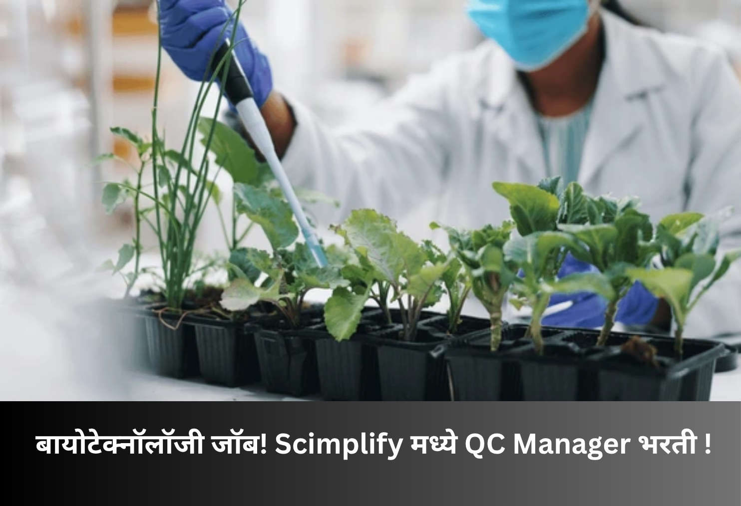 Biotechnology Job! QC Manager Hiring at Scimplify!