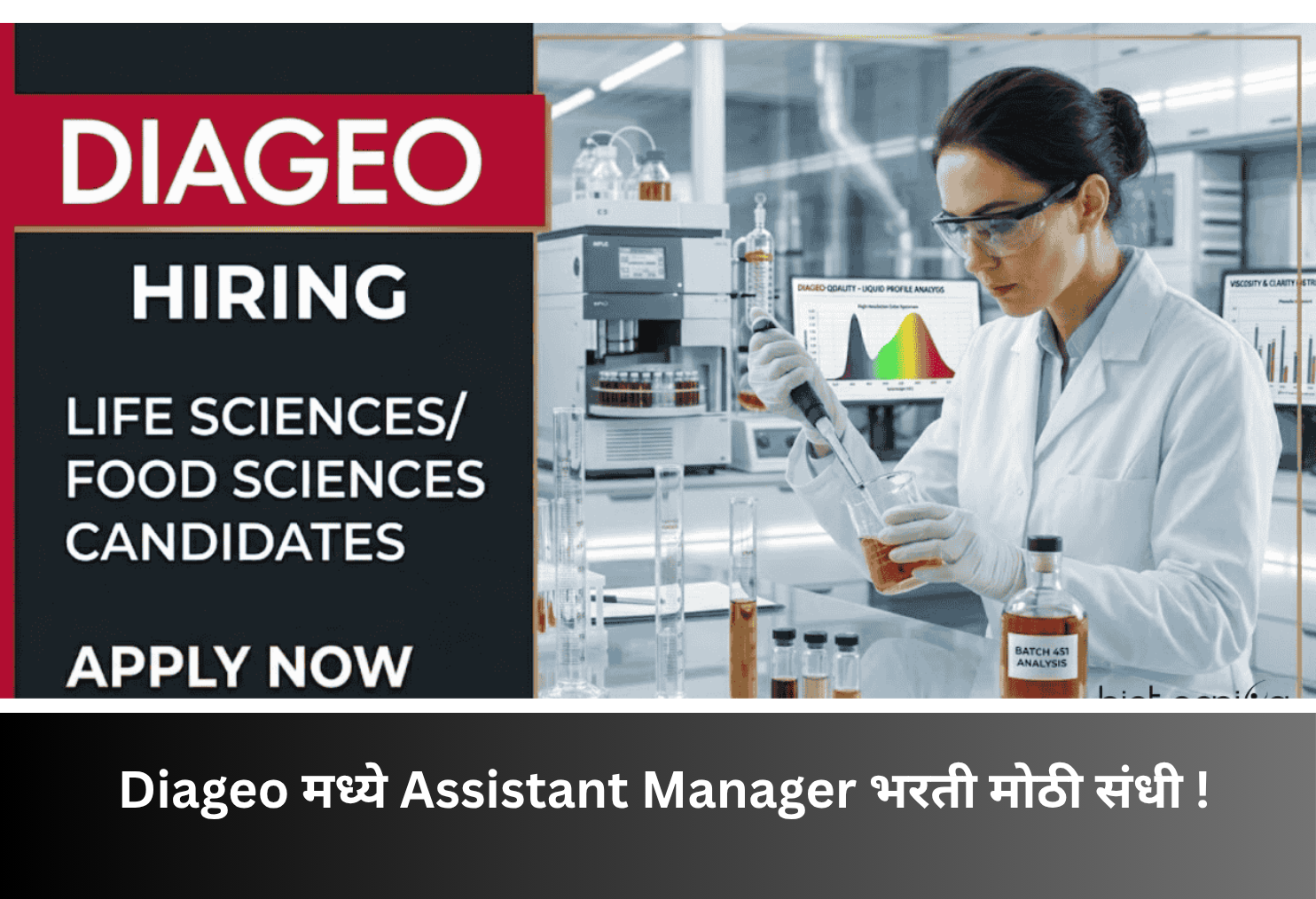 Diageo Hiring Assistant Manager Great Career Opportunity!